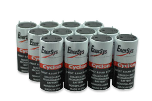 The image shows EnerSys Cyclon 2V 2.5Ah Sealed Lead Acid D Cell batteries.