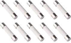 These are ceramic fuses, commonly used for overcurrent protection in electrical circuits