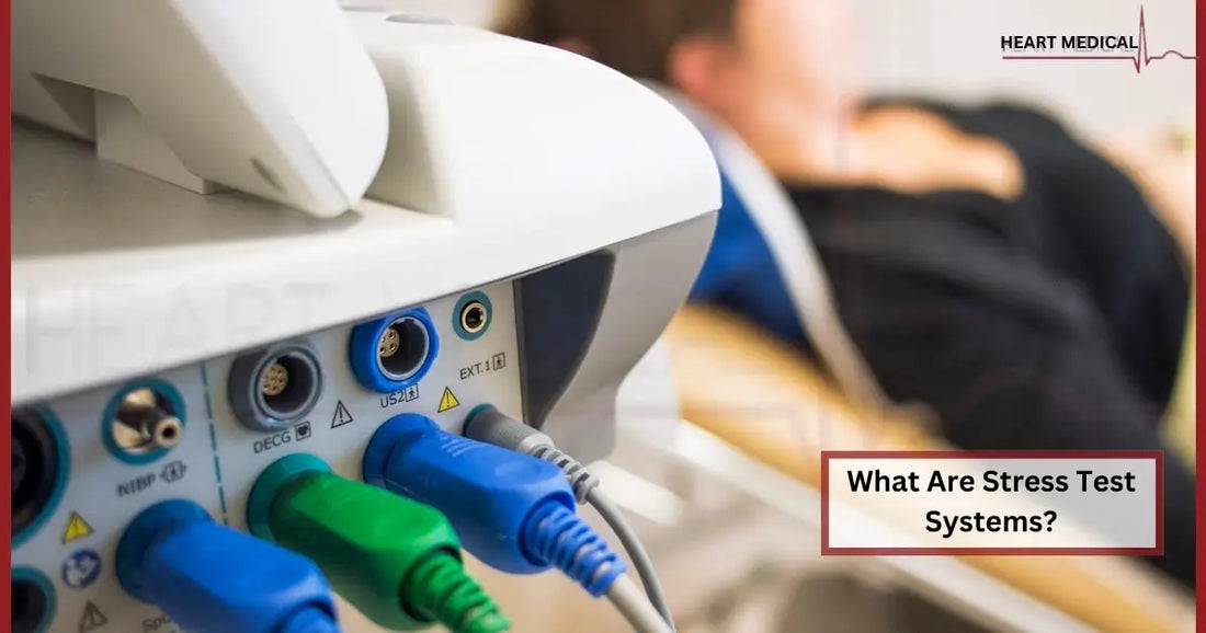 What Are Stress Test Systems