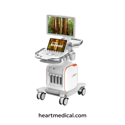 Siemens Healthineers ACUSON Redwood ultrasound system with HD display, control panel, and probes on cart