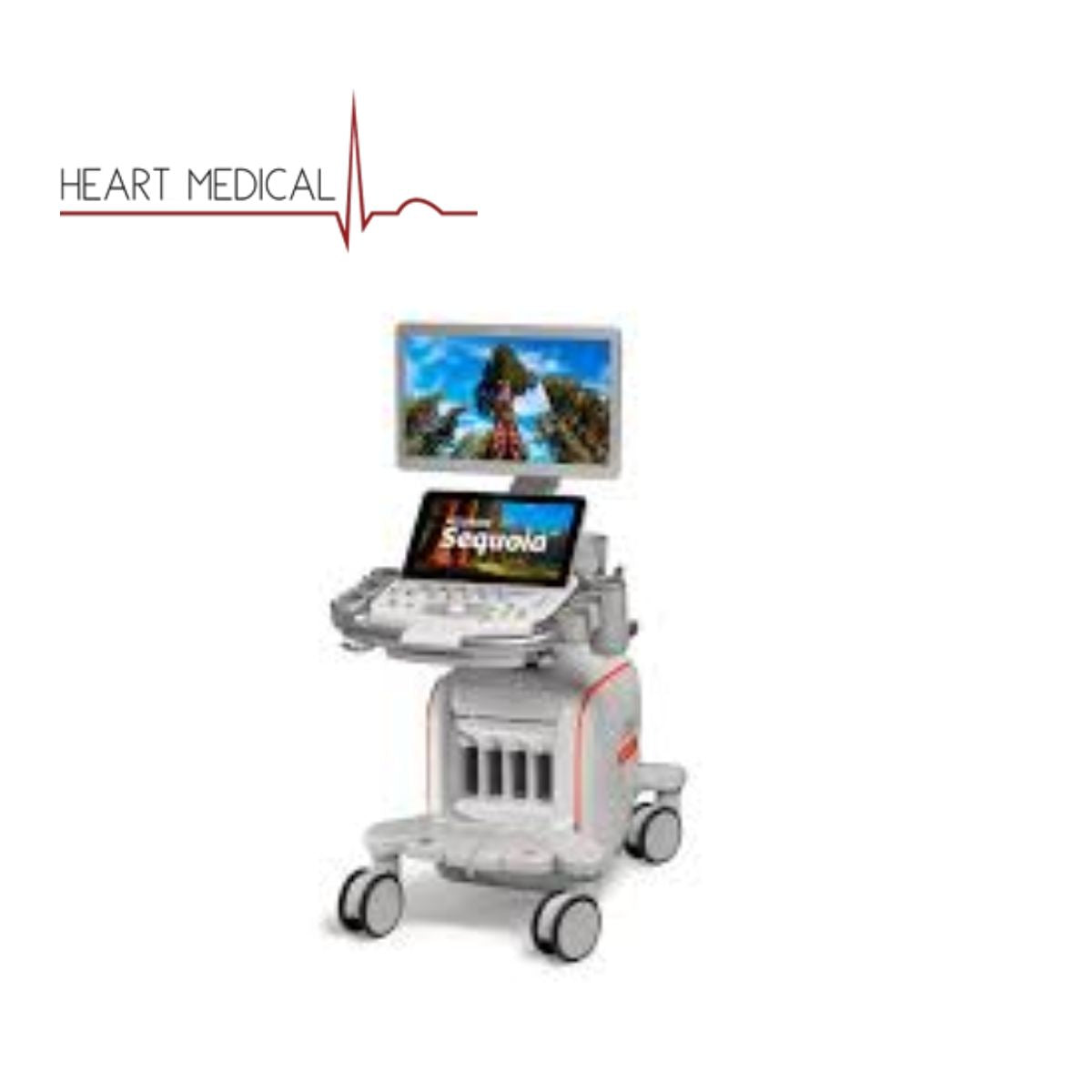ACUSON Sequoia ultrasound system – advanced diagnostic imaging machine with AI-powered tools and 4D Volume TEE transducer for precise clinical analysis.